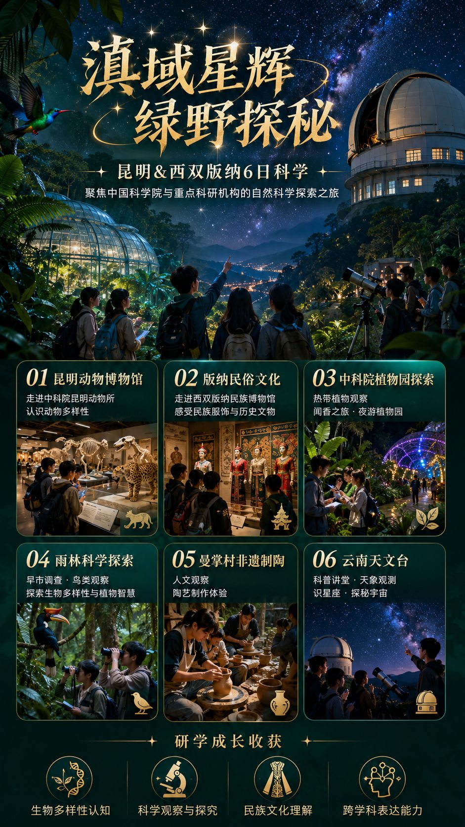 滇域星辉 绿野探秘主题封面